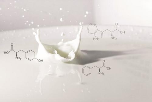 通過光學(xué)光譜和激光衍射對牛奶化合物進(jìn)行表征