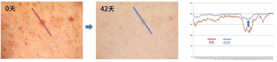 圖片關(guān)鍵詞