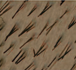 圖片關(guān)鍵詞