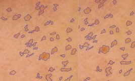 圖片關(guān)鍵詞