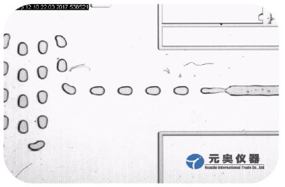 圖片關(guān)鍵詞