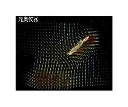 機(jī)器飛鳥展翅氣流PIV分析